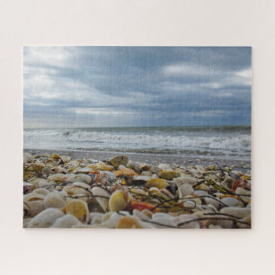 Seashells on the Seashore - 16x20 - 520 pcs Jigsaw Puzzle