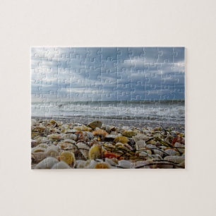 Seashells on the Seashore - 8x10 - 110 pcs Jigsaw Puzzle