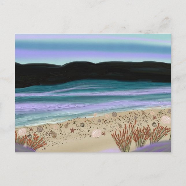 Seashells on the Shore Postcard (Front)