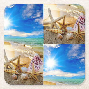 Seashells paper coasters
