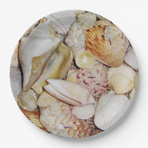 Seashells Paper Plate