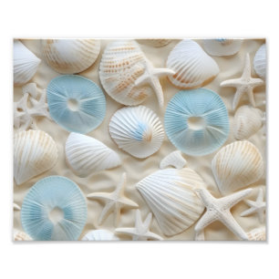 Seashells Photo Print