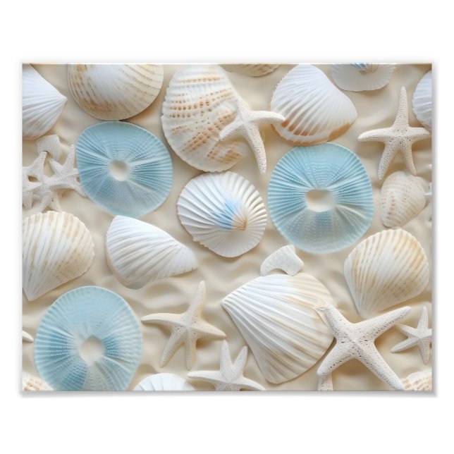 Seashells Photo Print (Front)