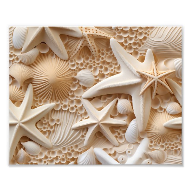 Seashells Photo Print (Front)