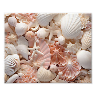 Seashells Photo Print