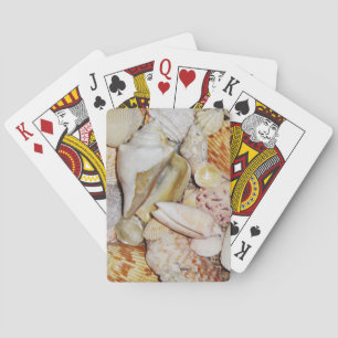 Seashells Playing Cards