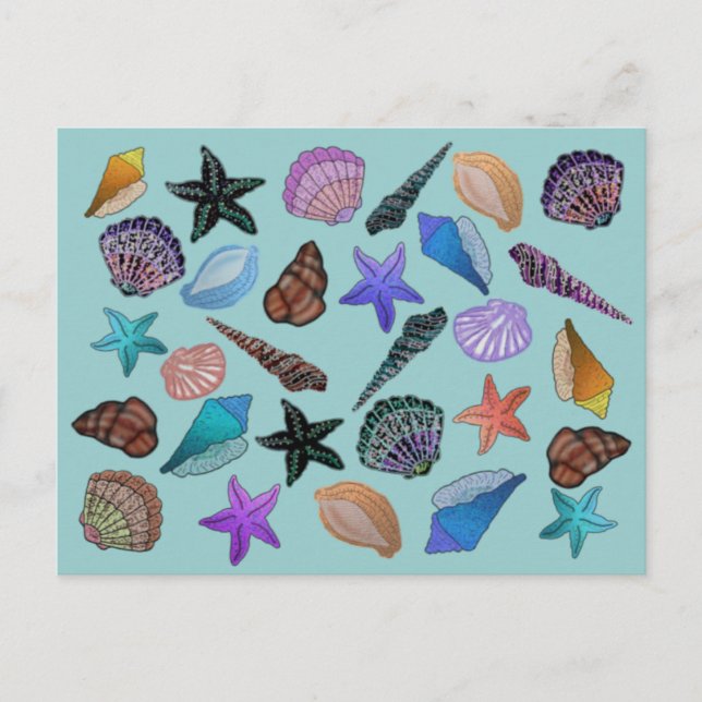 Seashells Postcard (Front)