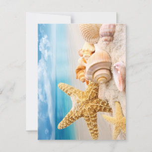 Seashells postcard