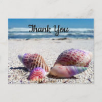 Seashells Sandy Beach Ocean Thank You Postcard