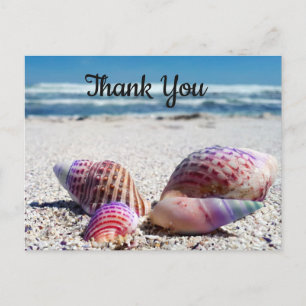Seashells Sandy Beach Ocean Thank You Postcard
