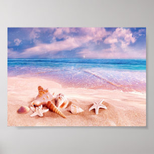 Seashells Sea Beach Poster