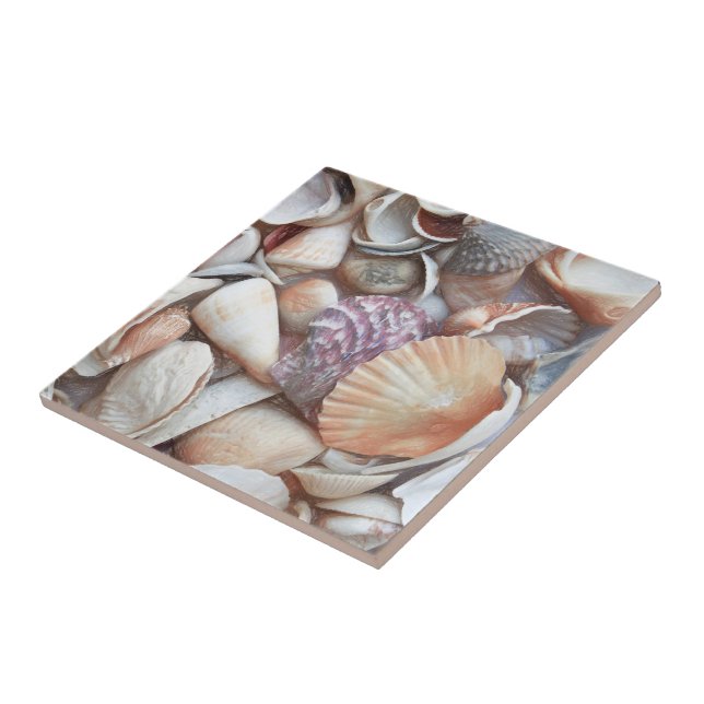 Seashells Sketch Ocean Nautical Beach Themed Tile (Side)