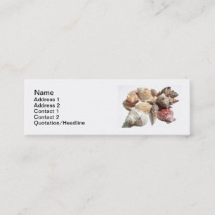 Seashells skinny business cards