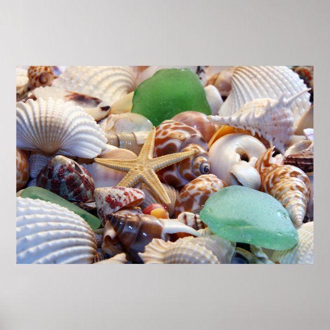 Seashells, Starfish & Beach Glass Poster (Front)