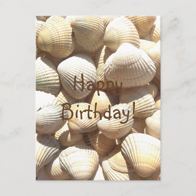 Seashells Summer, Happy Birthday Congratulations Postcard (Front)