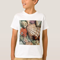 Seashells