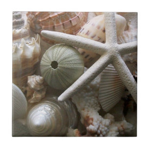 Seashells Tile