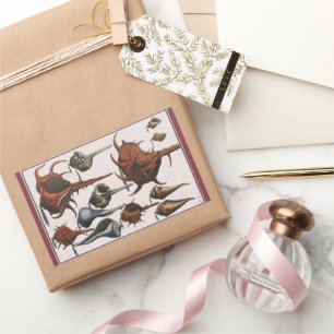 Seashells, Vintage Sea Shells, Ocean Marine Life Rectangular Sticker