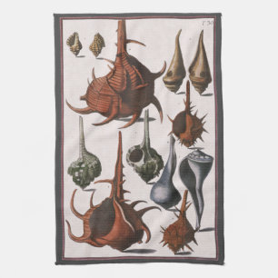 Seashells, Vintage Sea Shells, Ocean Marine Life Tea Towel