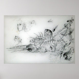 SEASHELLS WITH YOUNG GIRL POSTER