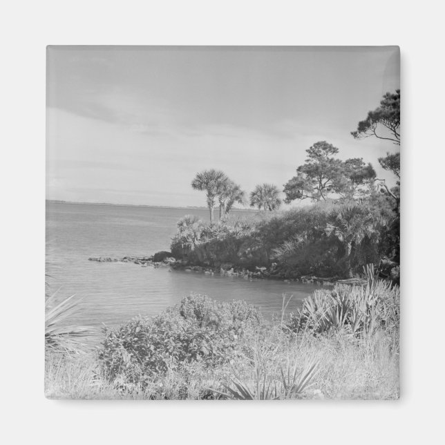 Seashore Magnet (Front)