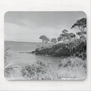 Seashore Mouse Pad