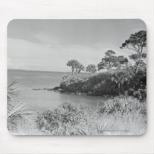 Seashore Mouse Pad (Front)