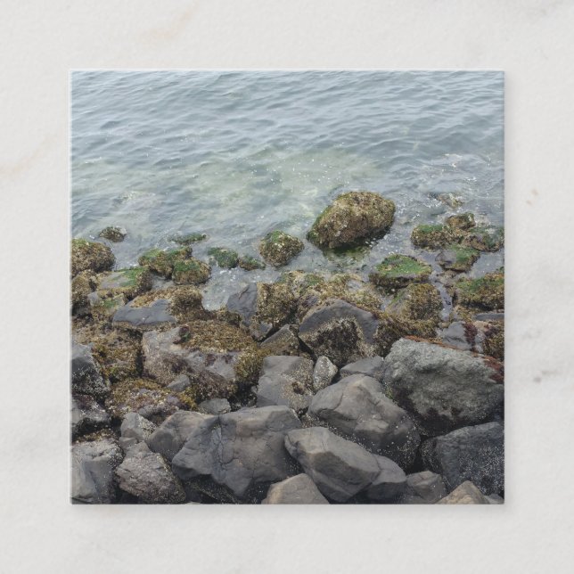 seashore rocks enclosure card (Front)