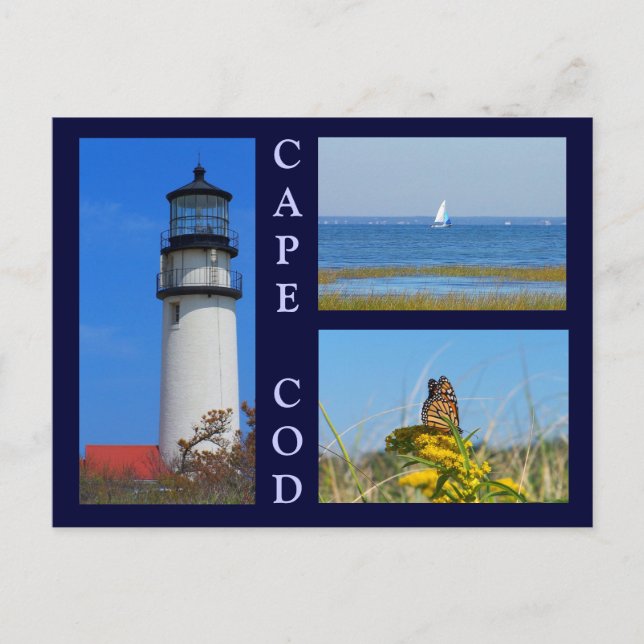 Seashore Scenes Postcard (Front)