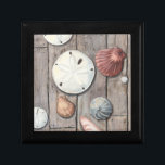 Seashore Treasures Gift Box<br><div class="desc">Megan Meagher is known for her simple art pieces. This image captures the simplicity of the seashore's treasures, including sand dollars and seashells in a pastel coloured tone. Meagher encompasses a wooden background in her image to contrast these treasures. Get this fine art print today on wood colour on your...</div>