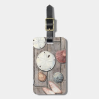 Seashore Treasures