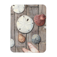 Seashore Treasures