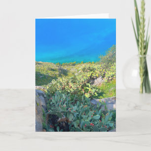 Seaside Cactus Nafplion Greece Card