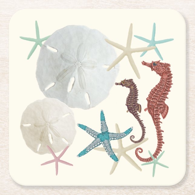 Seaside Collection Sand Dollars Square Paper Coaster (Front)