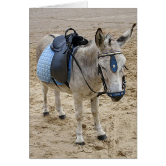 Seaside Donkey