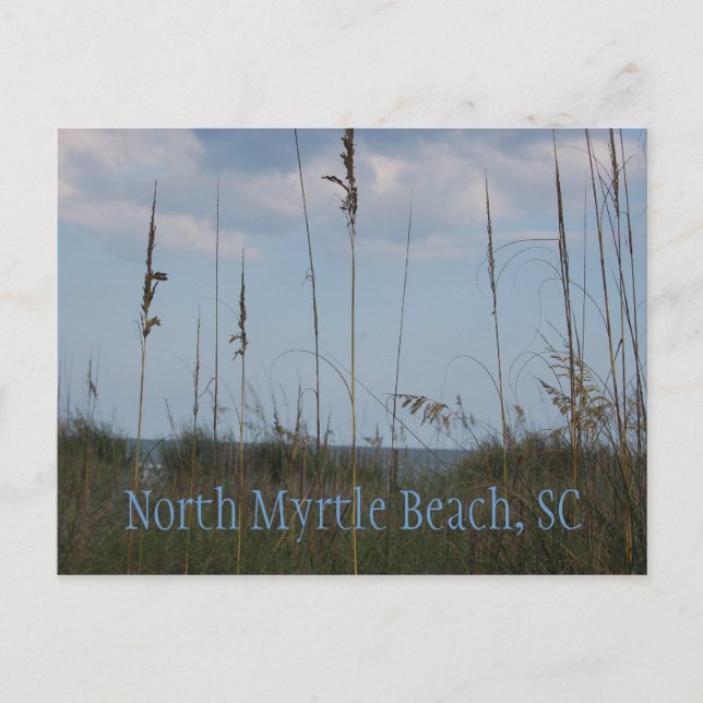Seaside Dreams - North Myrtle Beach, SC Postcard (Front)