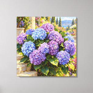 Seaside Hydrangeas in Golden Mediterranean Light Canvas Print