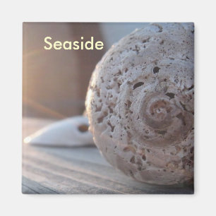 Seaside Magnet