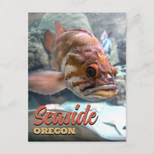 Seaside, Oregon Rockfish Postcard