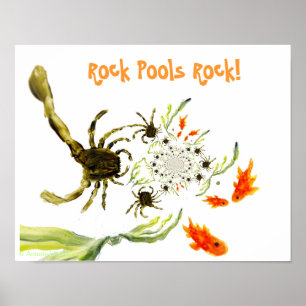 Seaside Rock Pool Funny Crabs Fish Poster