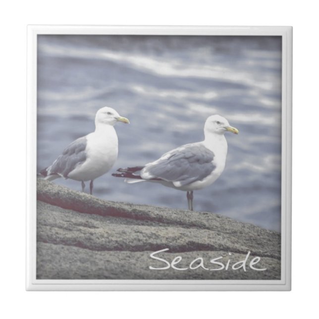 Seaside Seagulls Tile (Front)