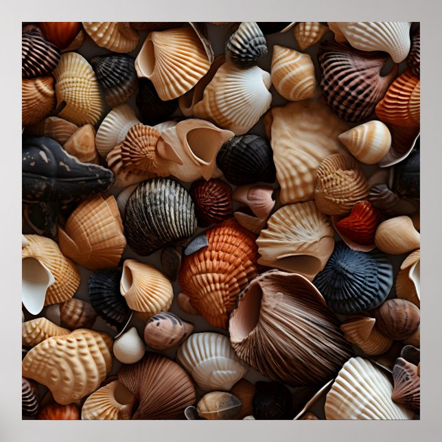 Seaside Seashells Art Poster (Front)