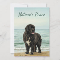 Seaside Serenity – Newfoundland Dog Nature