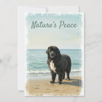 Seaside Serenity – Newfoundland Dog Nature