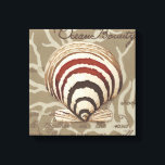 Seaside Sonnet II Canvas Print<br><div class="desc">Marine Life</div>