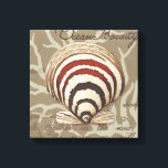 Seaside Sonnet II Canvas Print<br><div class="desc">Marine Life</div>