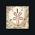 Seaside Sonnet III Canvas Print<br><div class="desc">Marine Life</div>