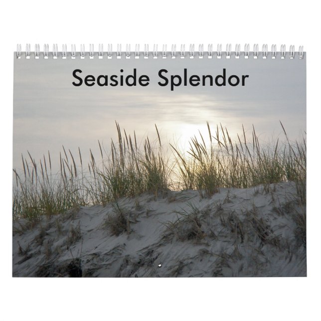 Seaside Splendour Calendar (Cover)