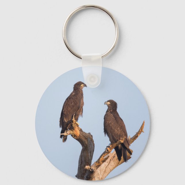 Season 7- E12 & E13 SW Florida Eagle Cam Keychain (Front)