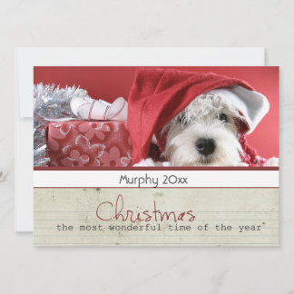 season greeting christmas pet photo cards